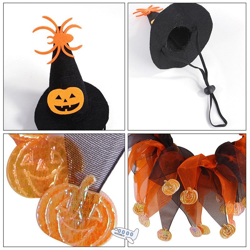 Witch Hat and Festive Pumpkin Collar Pet Costume