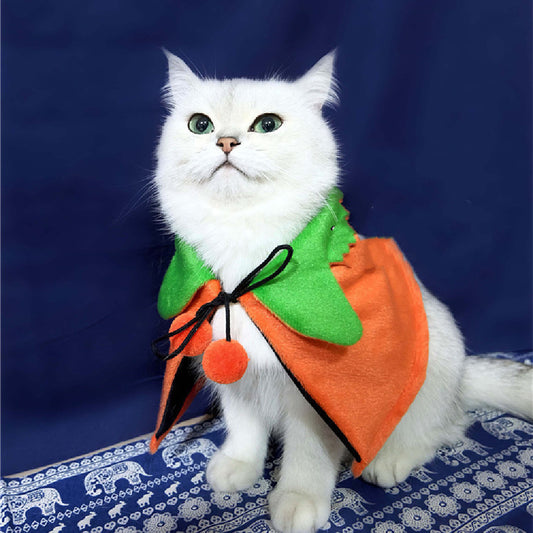 Halloween Pumpkin Double Sided Pet Cape