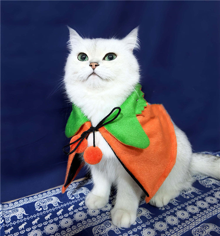 Halloween Pumpkin Double Sided Pet Cape