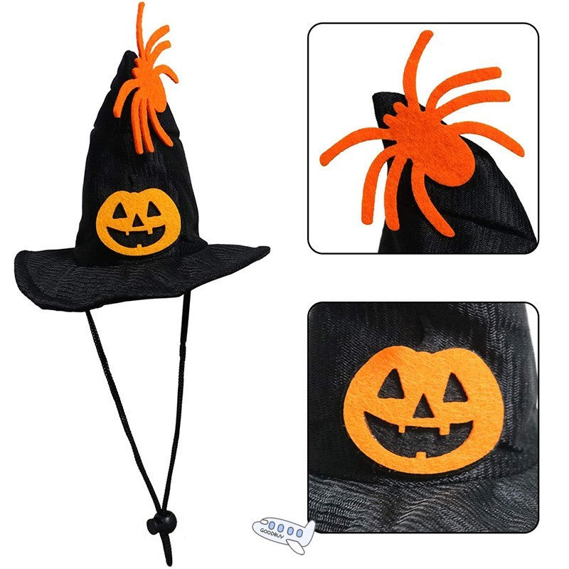Witch Hat and Festive Pumpkin Collar Pet Costume