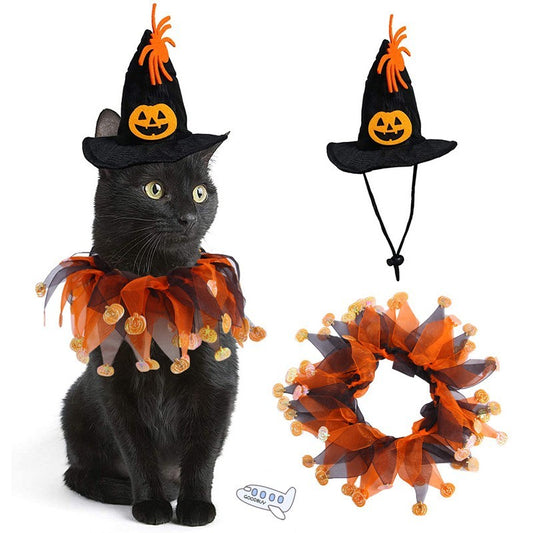 Witch Hat and Festive Pumpkin Collar Pet Costume